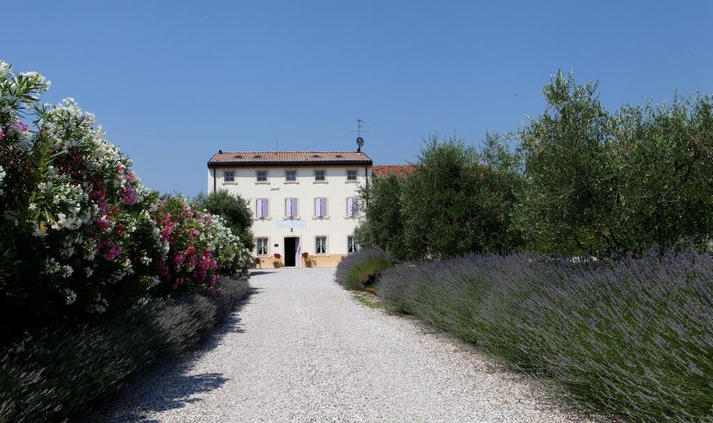 Agriturismo Casa Aurora Буссоленго Экстерьер фото