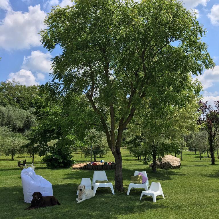 Agriturismo Casa Aurora Буссоленго Экстерьер фото