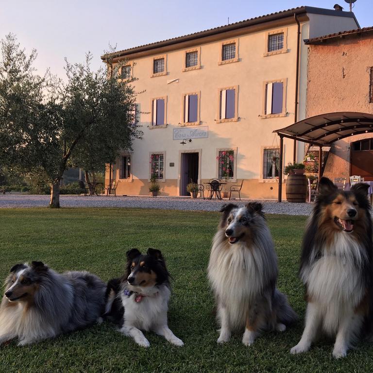 Вилла Agriturismo Casa Aurora Буссоленго Экстерьер фото